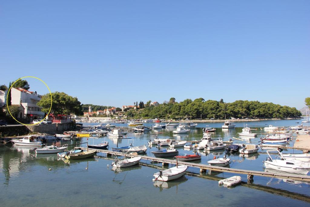 Vanda Seafront Superior Cavtat Esterno foto